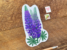 Lupine Postcard