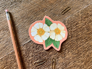 Cherokee Rose Sticker