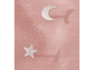 Moon & Star Studs Earrings