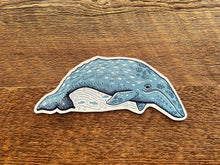 Olympic National Park Grey Whale Postcard