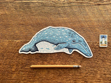 Olympic National Park Grey Whale Postcard