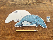 Olympic National Park Grey Whale Postcard