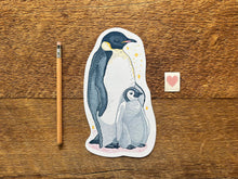 Penguins Postcard
