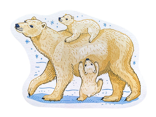Polar Bears Postcard