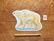 Polar Bears Postcard