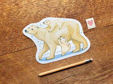 Polar Bears Postcard