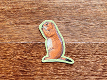 Prairie Dog Sticker