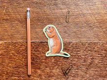 Prairie Dog Sticker