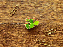 Prickly Pear Enamel Pin