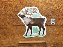 Reindeer Postcard
