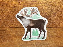 Reindeer Postcard