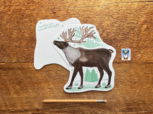 Reindeer Postcard