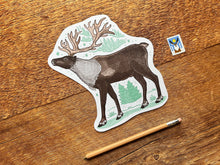 Reindeer Postcard
