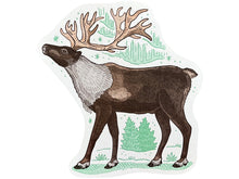 Reindeer Postcard