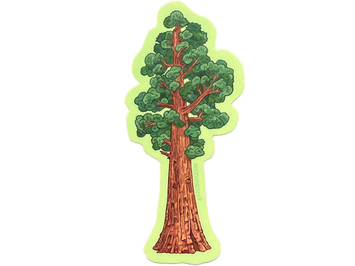 Sequoia Tree Sticker