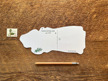 Sequoia National Park Tree Postcard