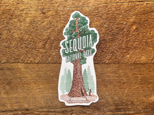 Sequoia National Park Tree Postcard