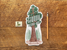 Sequoia National Park Tree Postcard