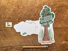 Sequoia National Park Tree Postcard