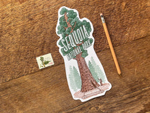 Sequoia National Park Tree Postcard