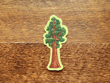 Sequoia Tree Sticker
