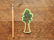 Sequoia Tree Sticker