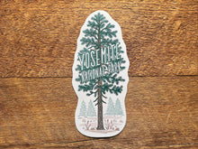 Yosemite National Park Pine Tree Postcard