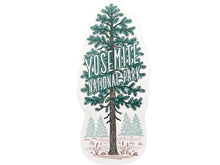 Yosemite National Park Pine Tree Postcard