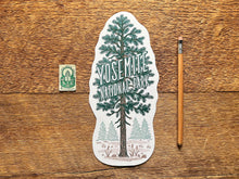 Yosemite National Park Pine Tree Postcard
