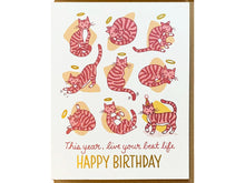 9 Lives Birthday Greeting Card