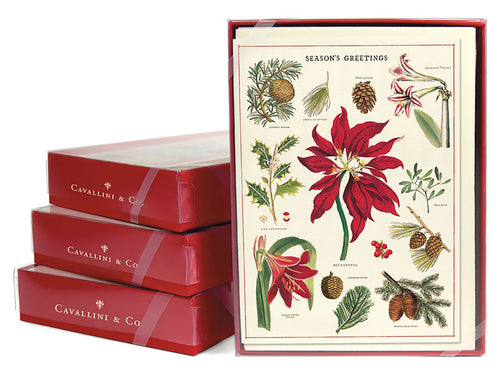Christmas Botanica, Boxed Set of 10