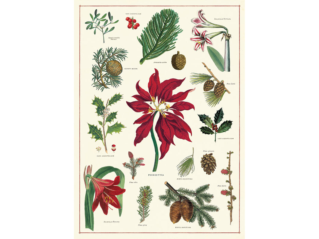 Christmas Botanical, Single Sheet