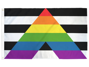 LGBTQ Ally Flag