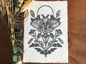 IO Moth & Poppies 5x7", Art Print