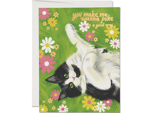 Nice Kitty, Single Card