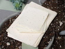 Seed Handmade Paper Pack, Various Sizes