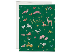 Tiny Animals, Single Card