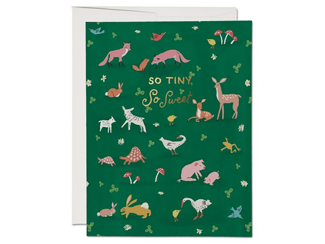 Tiny Animals, Single Card