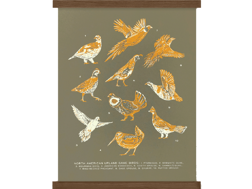 Upland Game Birds Guide, Art Print