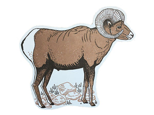 Bighorn Sheep Postcard