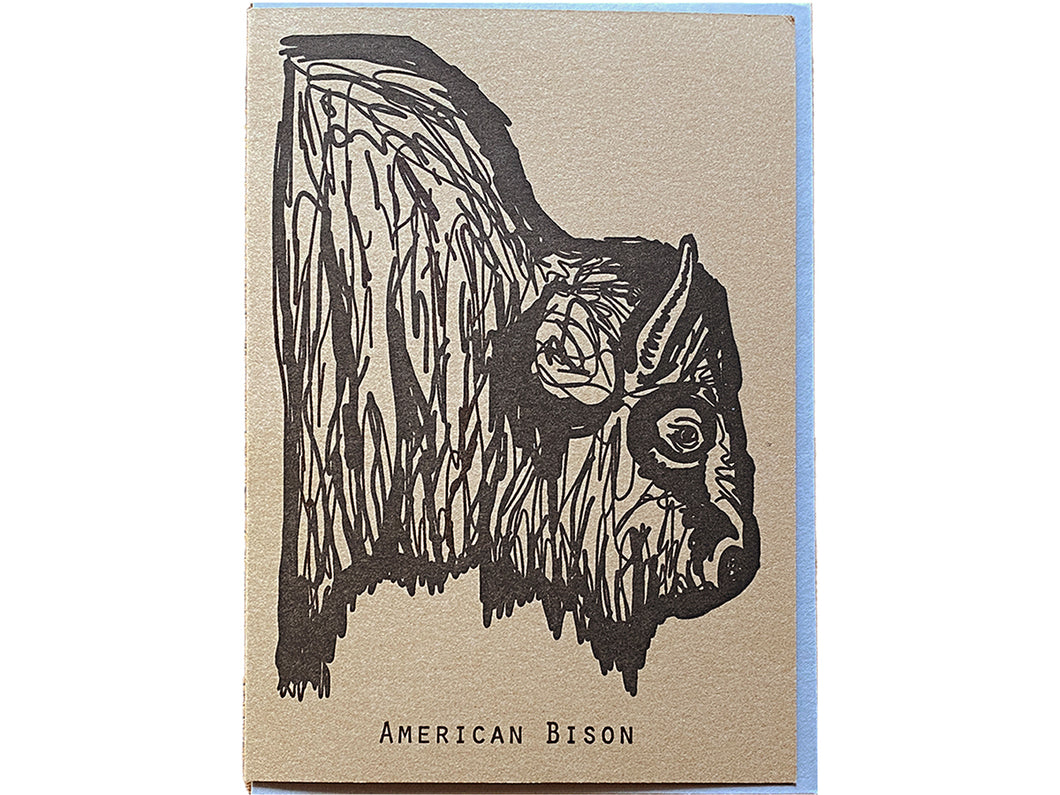 American Bison Greeting Card