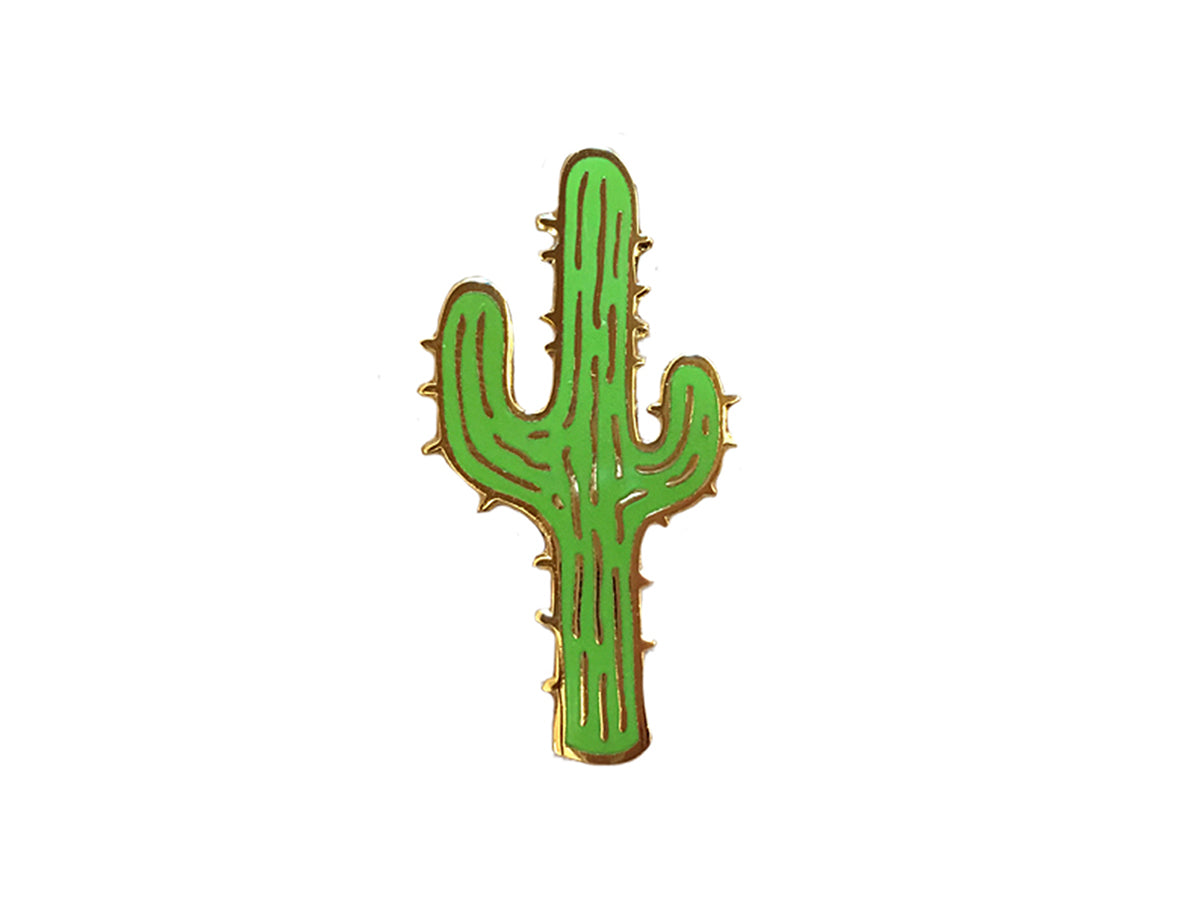 Pin em cactus