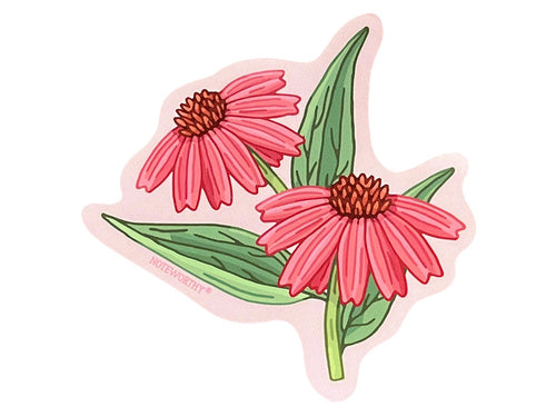 Coneflower Sticker