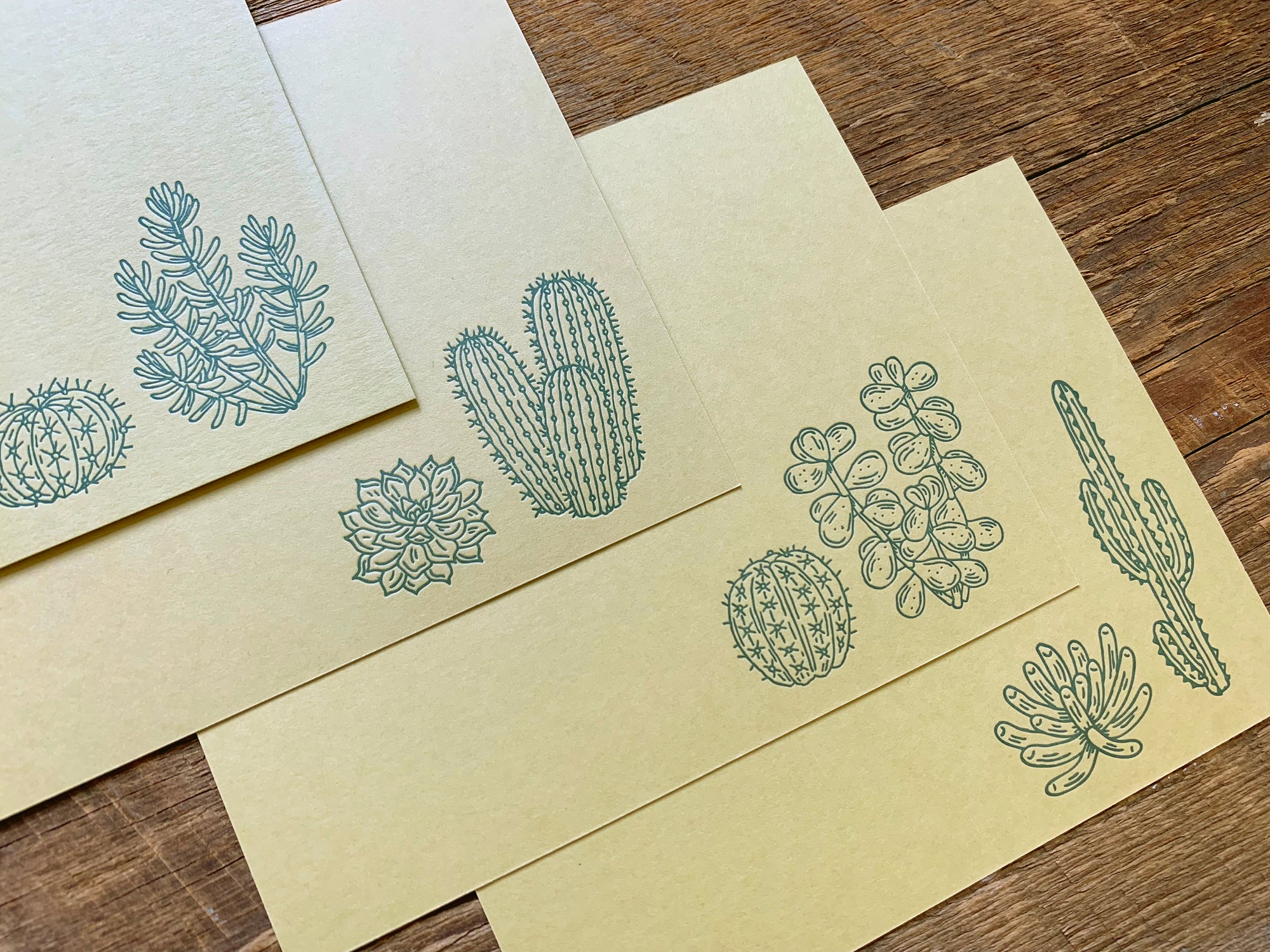 succulent stationery Cacti & Succulents Mixed Flat Stationery – Noteworthy Paper & Press
