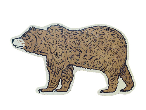 Talkeetna, Alaska Grizzly Bear Postcard
