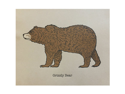 Grizzly Bear Art Print