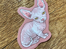 Hairless Cat Sticker