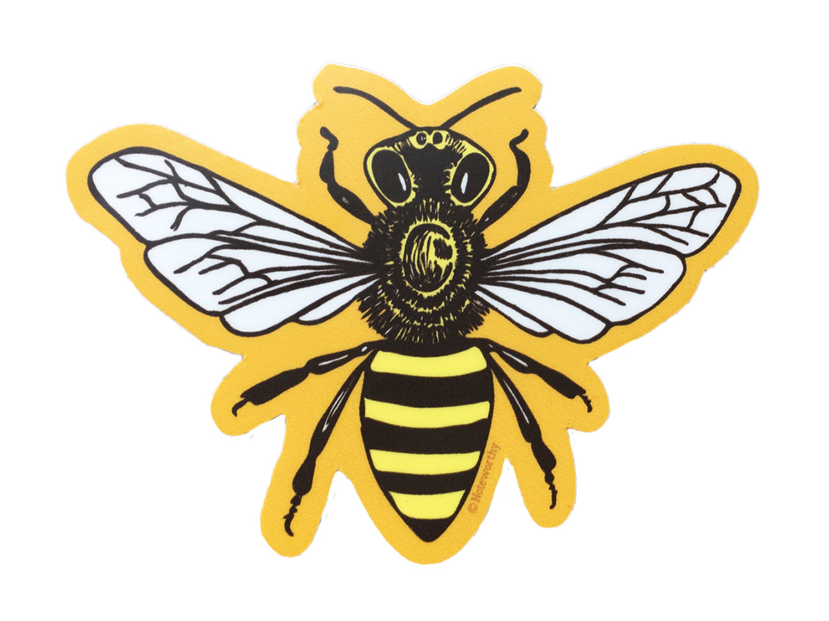 Honey Bee Sticker – Noteworthy Paper & Press