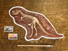 T-Rex Fossils Postcard