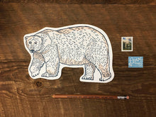 Polar Bear Postcard